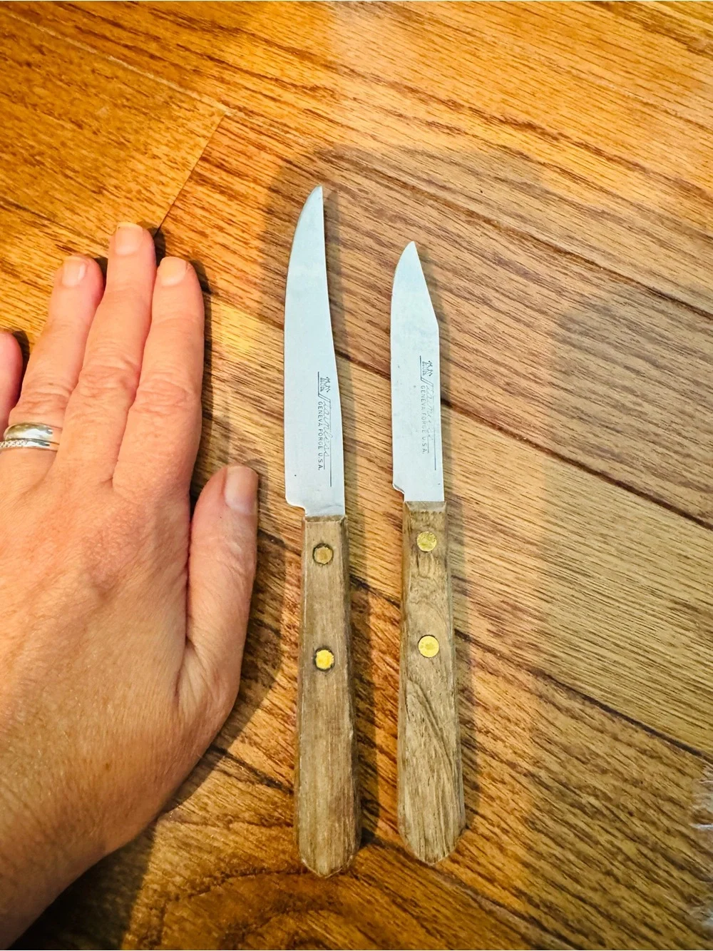 Vintage Geneva Forge Made in USA Steak and Paring Knife With Wooden Handle